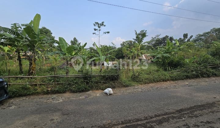 Cheap Land in Pemalang by the Road, Suitable for Shophouses, Housing, and Other Investments.