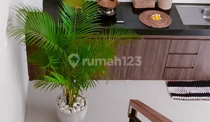 Rumah Bali Teuku Umar Villa Demen Furnish Siap Huni Bebas Banjir