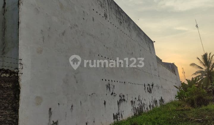 Rumah Wallet Lampung Tengah Hitung Tanah Cocok Untuk Invest