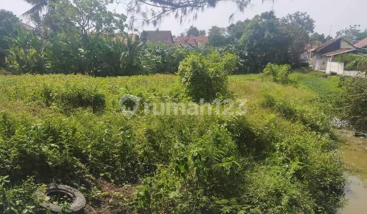 Tanah Darat Murah Strategis Pinggir Jalan Raya Pemalang Dkt Tegal Pekalongan