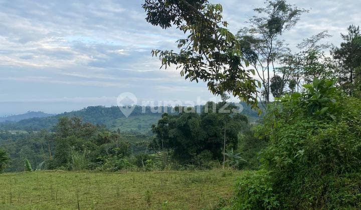 Tanah Murah Utk Rumah Impian atau Villa dan Cafe Kekinian