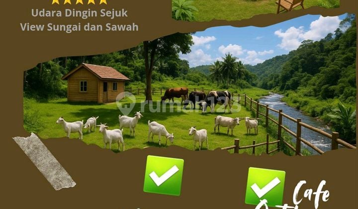 Tanah 9.030m2 Pinggir Sungai Di Tengah Alam Akses Mobil Truk