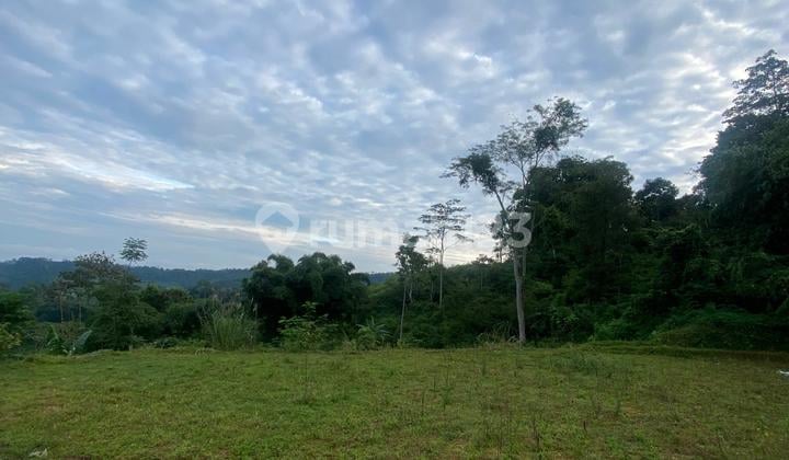 Tanah Murah 3.200M2 Dekat Guci Tegal View Cantik Pegunungan Sawah & Lampu Kota