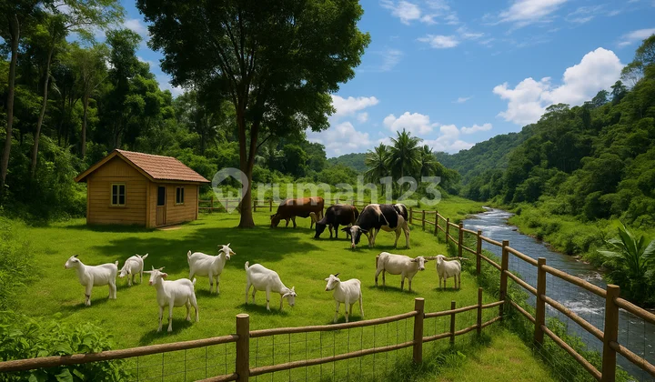 Cheap Flat Land Good Business Investment