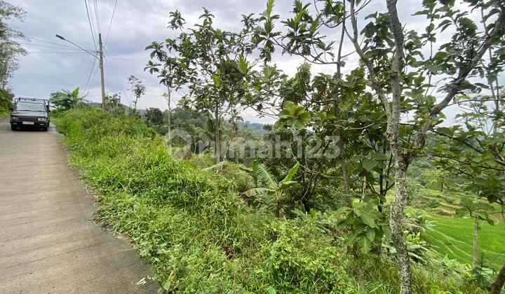Tanah 1 Ha Bagus Murah Di Bumijawa Guci Tegal Dkt Slawi Kab Brebes