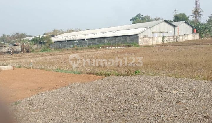 DIJUAL CEPAT TANAH KAVLING MURAH LOKASI PINGGIR JALAN RAYA DITANGERANG COCOK UUNTUK GUDANG