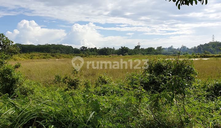 Di Jual Cepat Kavling di Jalan Pemda Tigaraksa Tangerang