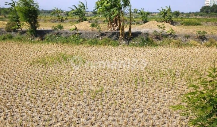 Tanah Mulyorejo Surabaya Timur