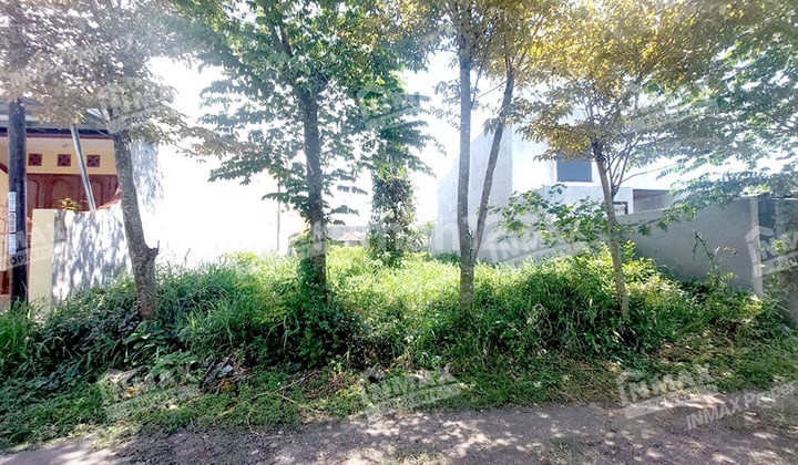 A plot of land for sale in the Blimbing area near Araya housing complex.