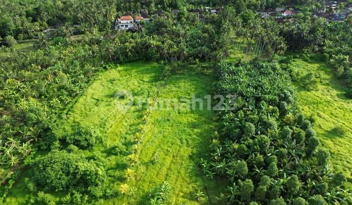 Tanah Jual Lokasi Pangeragoan