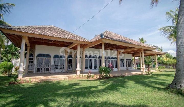 Land for Sale in Lovina Location