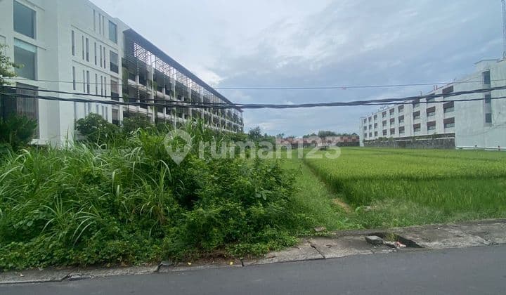 Tanah Jual Lokasi Cendrawasih