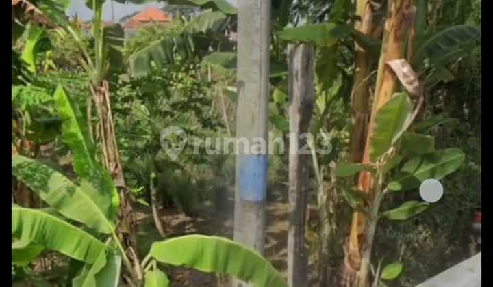 Tanah Jual Lokasi Tangtu