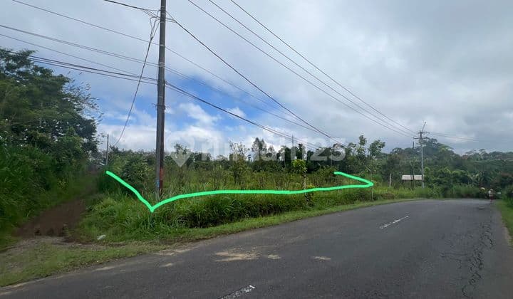 Tanah Jual Lokasi Catur