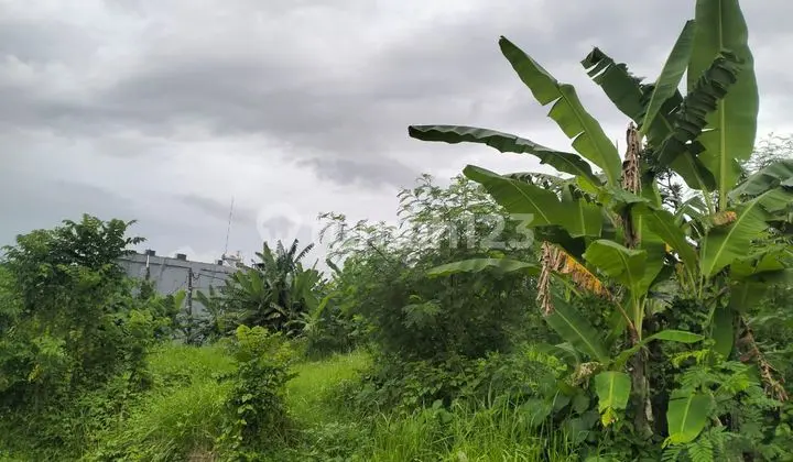 Tanah Jual Lokasi Nyanyi