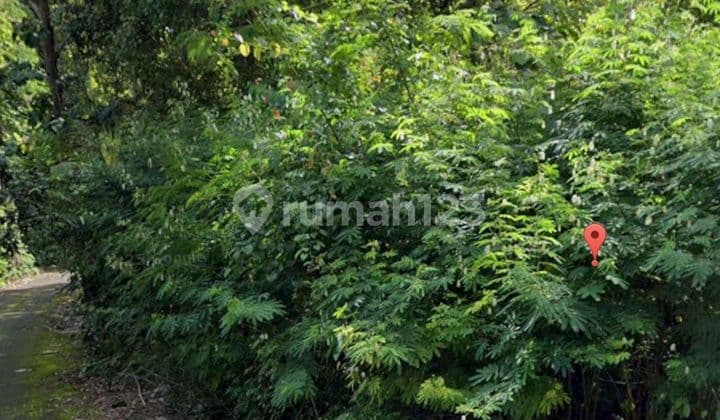 Tanah Jual Lokasi Pecatu