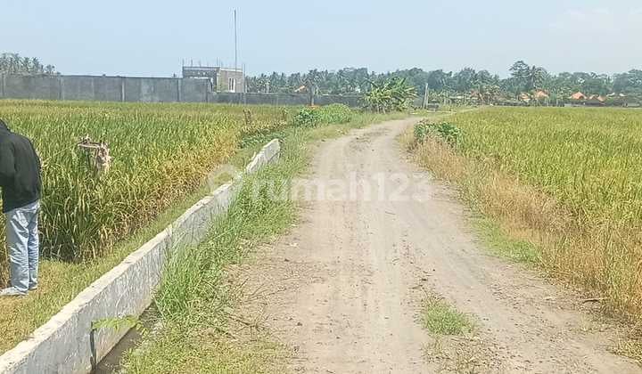 Tanah Jual Lokasi Pasut