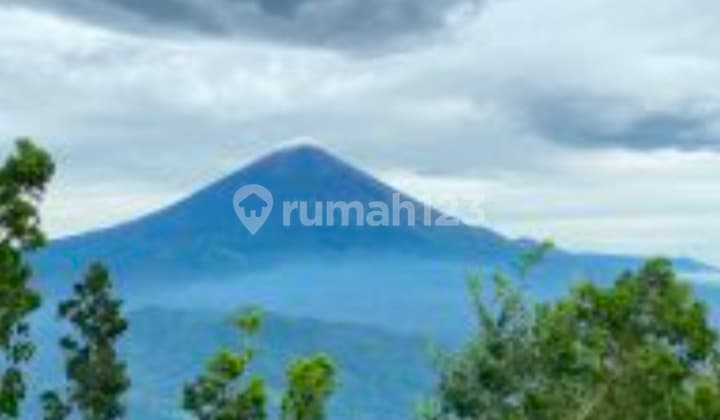 Land for Sale at Datah Location
