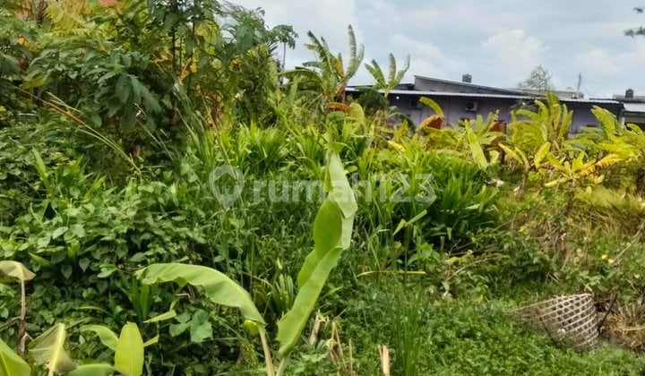 Tanah Jual Lokasi Pemogan Tanah Jual Lokasi Pemogan