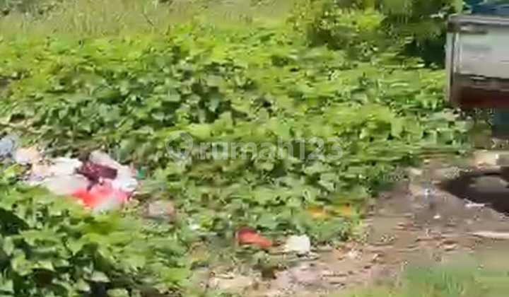 Land for Sale Location Sesetan