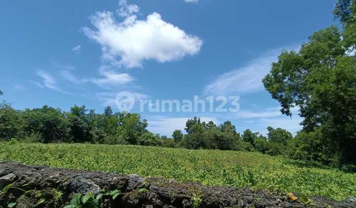 Tanah Jual Lokasi Balangan