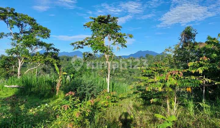 Tanah Jual Lokasi Katung