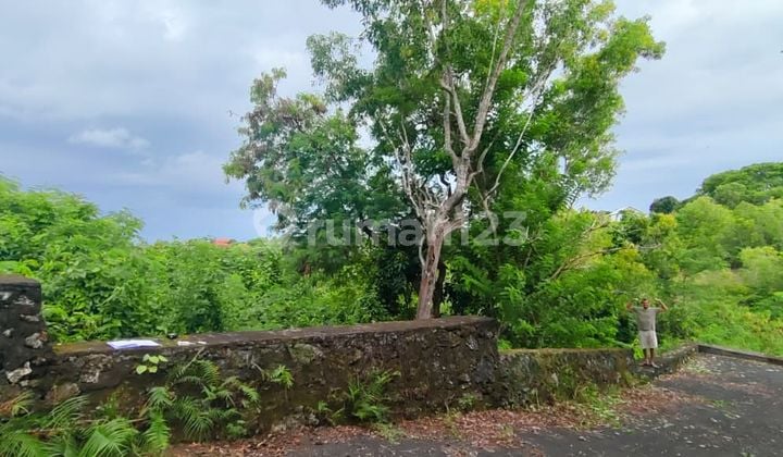Tanah Jual Lokasi Kutuh