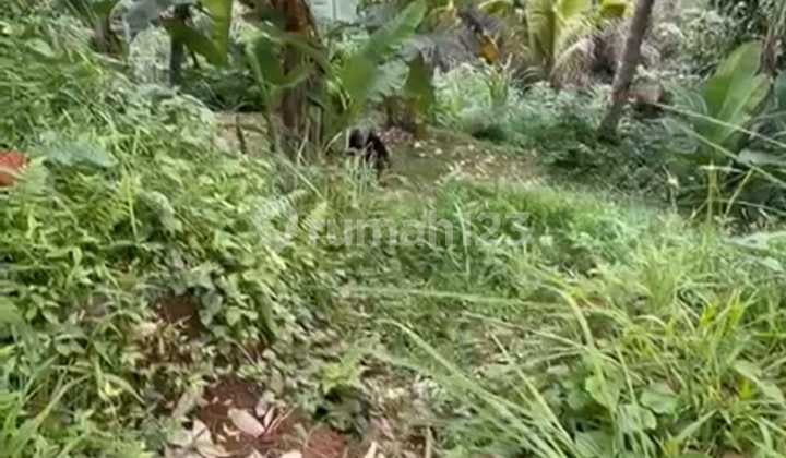 Tanah Jual Lokasi Buahan