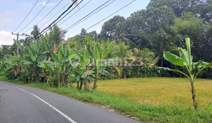 Tanah Jual Lokasi Dajan Peken