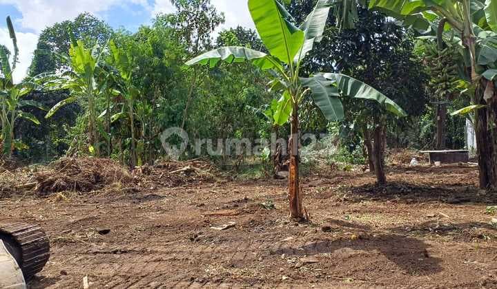 Tanah Jual Lokasi Pering