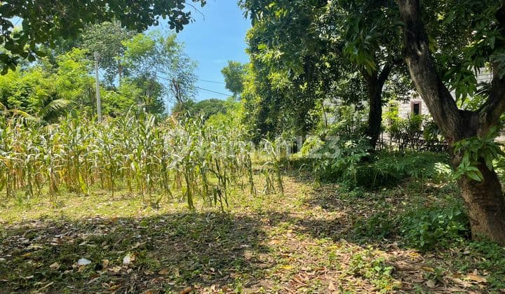 Tanah Jual Lokasi Sunberkimia