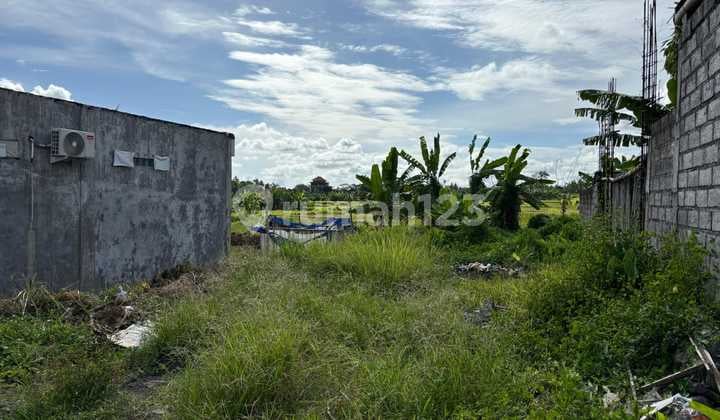 Land For Sale Location Pejeng