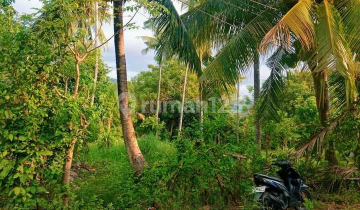 Tanah Jual Lokasi Kaliasem