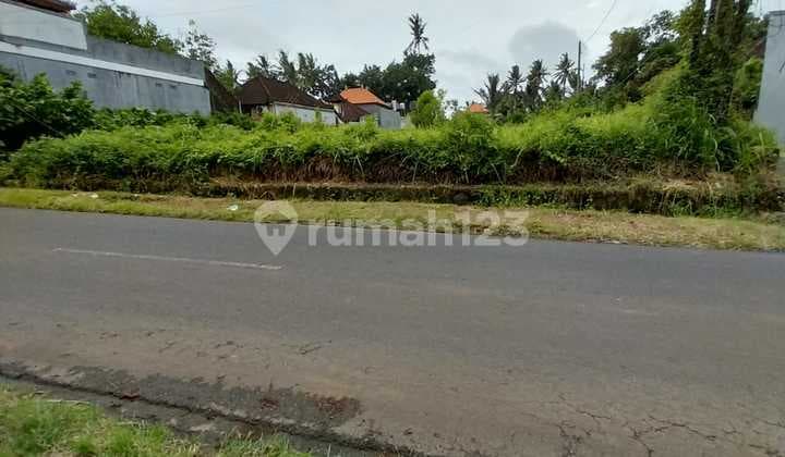 Tanah Jual Lokasi Abiansemal