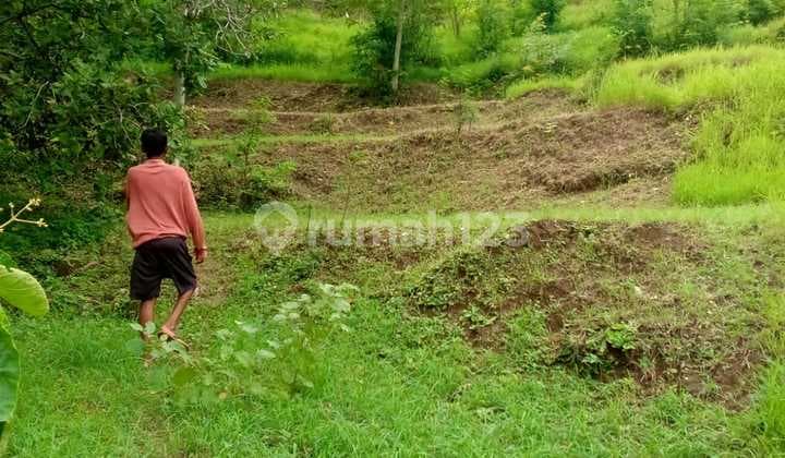 Land for Sale Location Tukad Sumaga