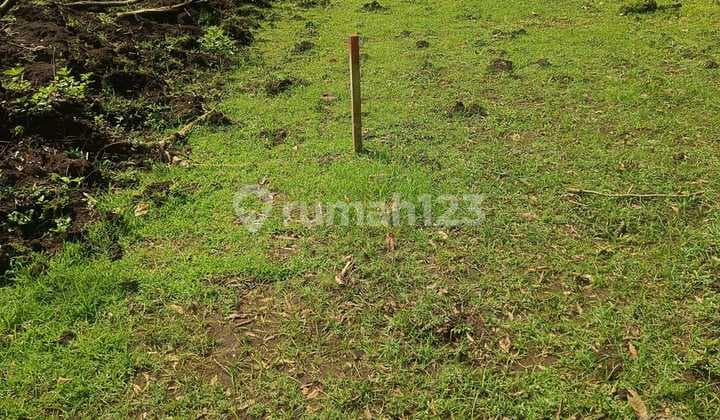 Tanah Jual Lokasi Balangan