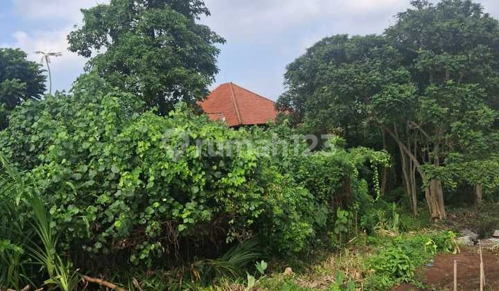 Land for Sale Location Pererenan