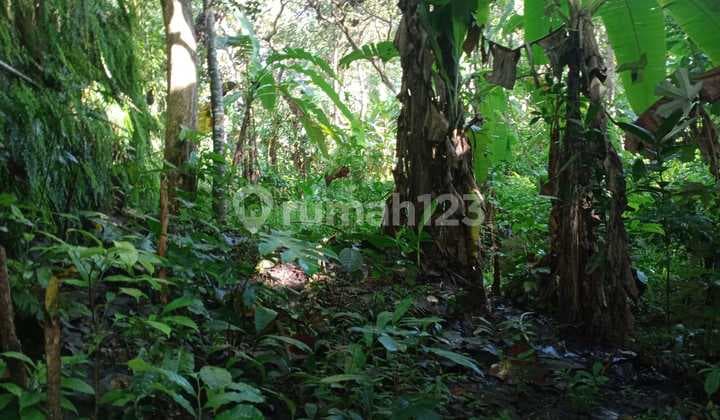 Land for Sale Location Kaba Kaba