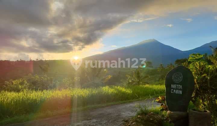 House For Sale Location Penebel