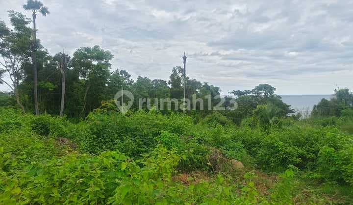 Tanah Jual Lokasi Abang