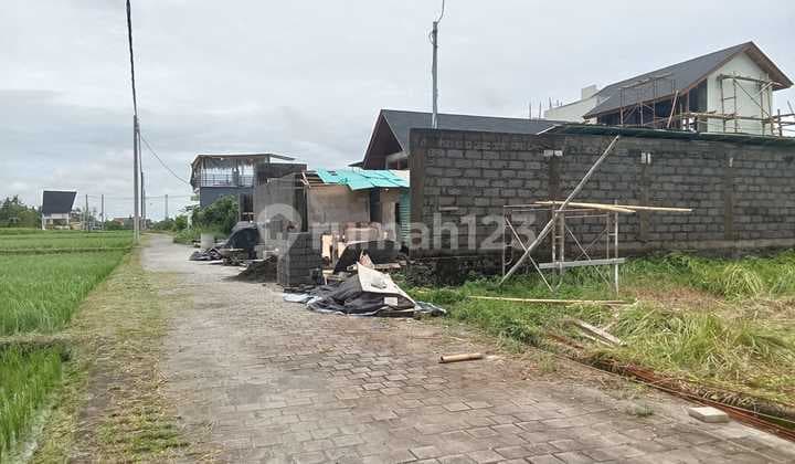 Land for Sale Kedungu Location