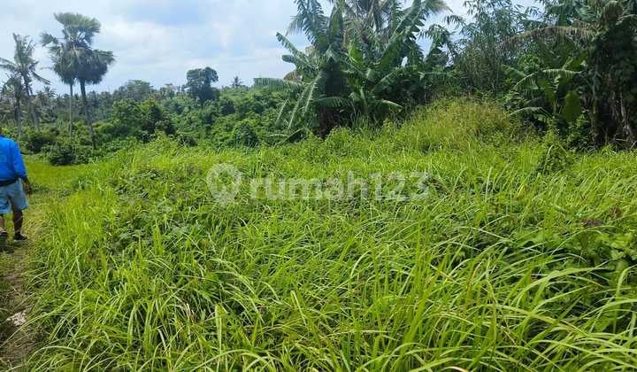 Tanah Jual Lokasi Sukawati
