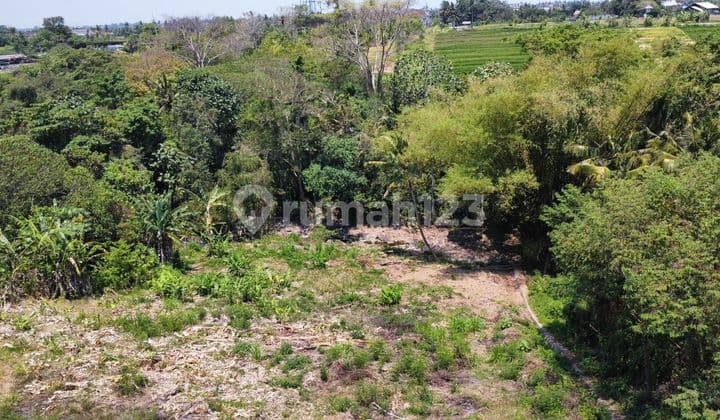 Land for Sale Location Sidemen