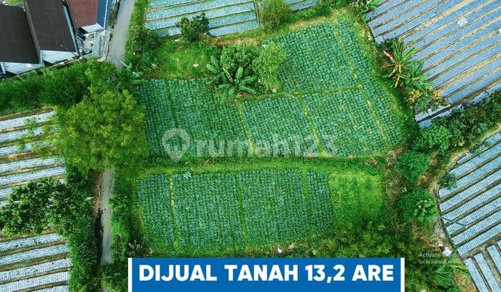 Tanah Jual Lokasi Kintamani
