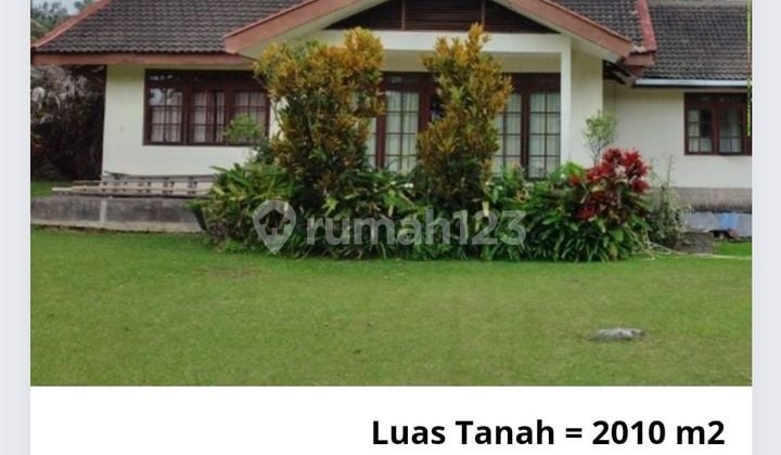 For Sale: Villa Coolibah in Cimacan, Cianjur, Bogor, IDR 6 Billion Negotiable. Two-story house with good SHM (Certificate of Ownership).