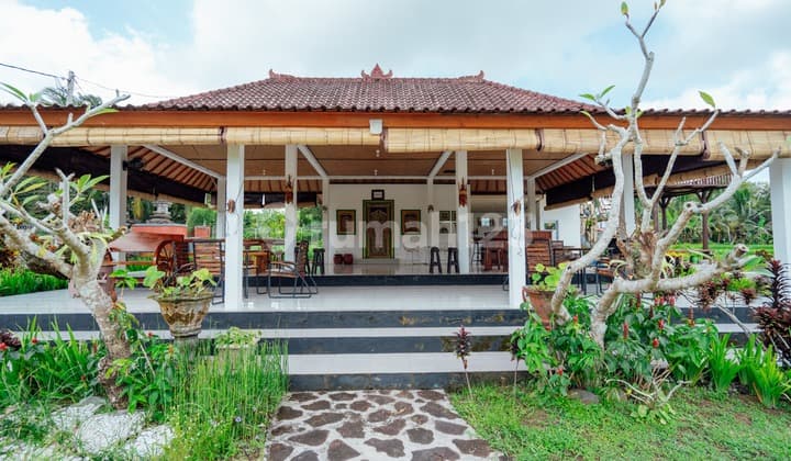 Dijual Villawedding View Sawah Dan Gunung Batukaru