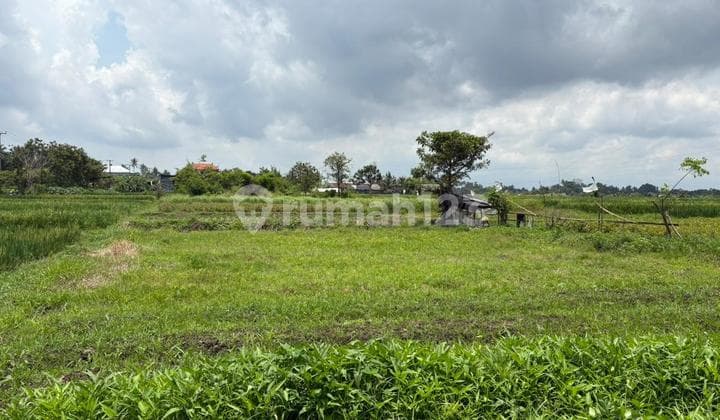 Kavling Tanah Siap Bangun, Lingkungan Asri
