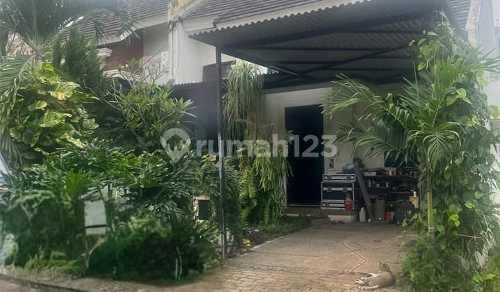 Rumah Delatinos Bsd Renovasi Murah Kamar Banyak Bisa Kpr