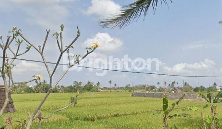 LAND KAVLING BEACH DIFFICULT TO CANGGU