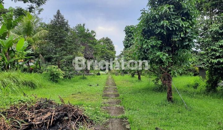 TANAH 2850 M TABANAN PENEBEL BALI STRATEGIS DEKAT WISATATABANAN BEDUGUL